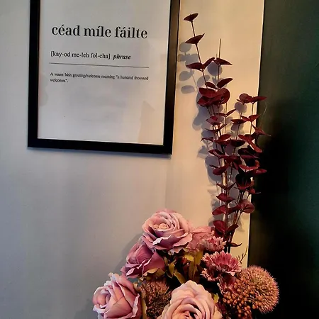 Renovated 3 Bedroom Heritage With Garden In Ardee